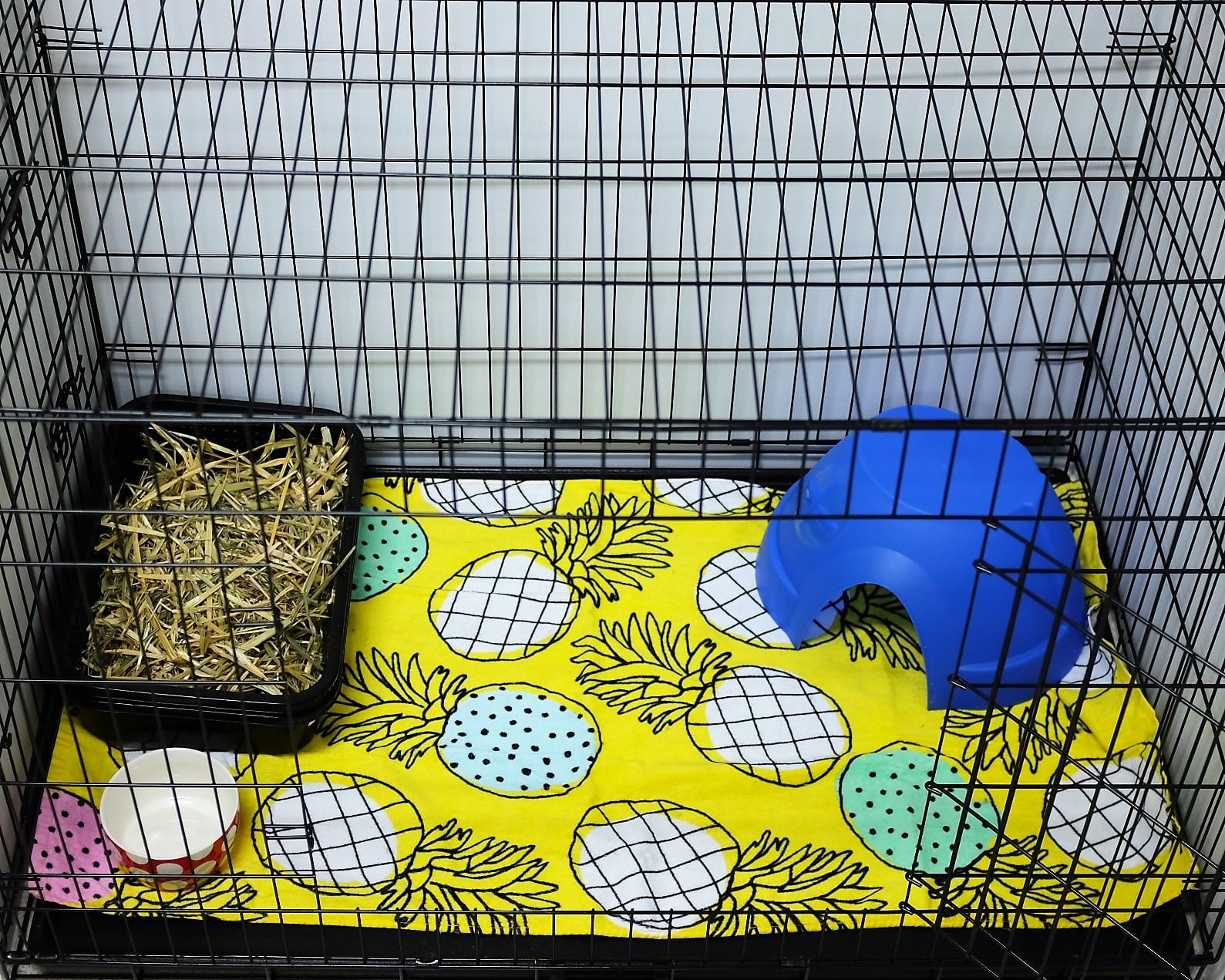 Comfy bunny cage accommodation at our rabbit boarding hotel in Melbourne